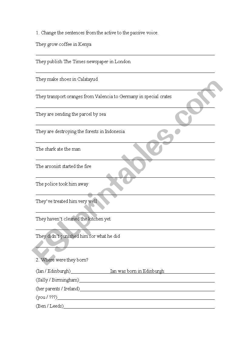 passive voice  worksheet