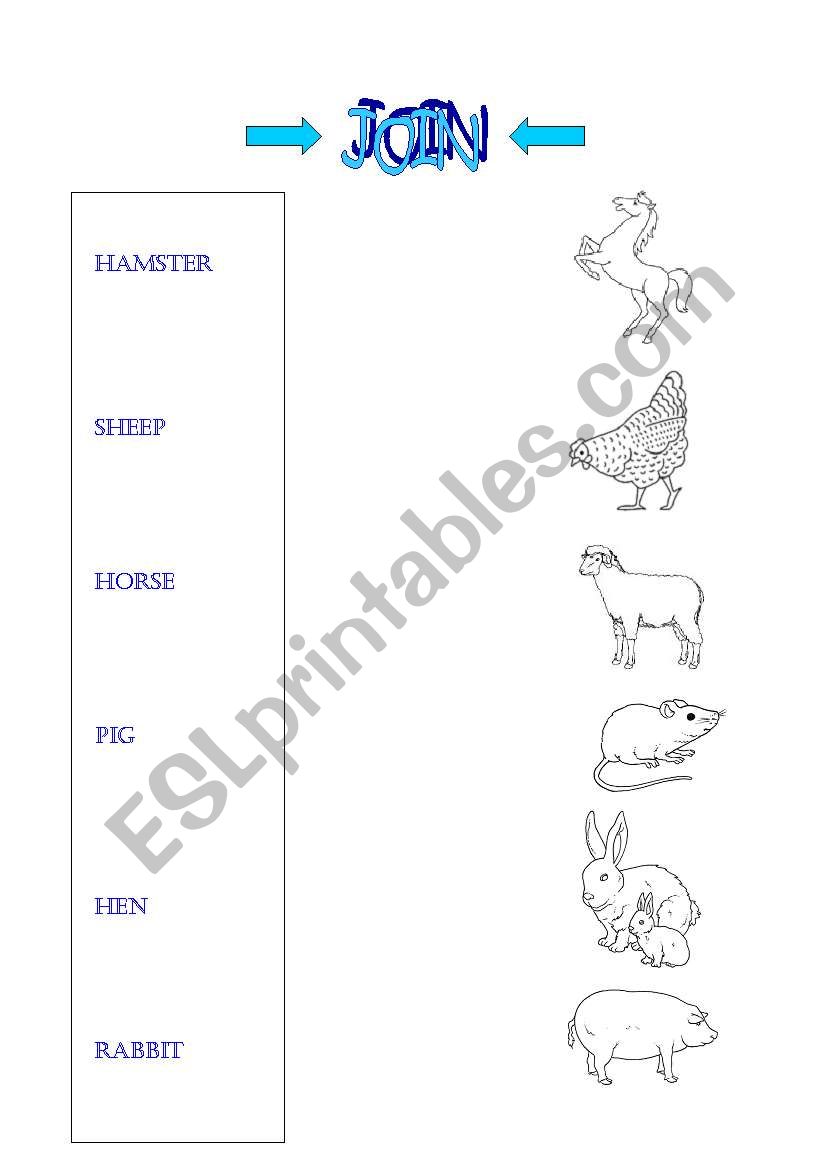 WHAT IS THIS? worksheet