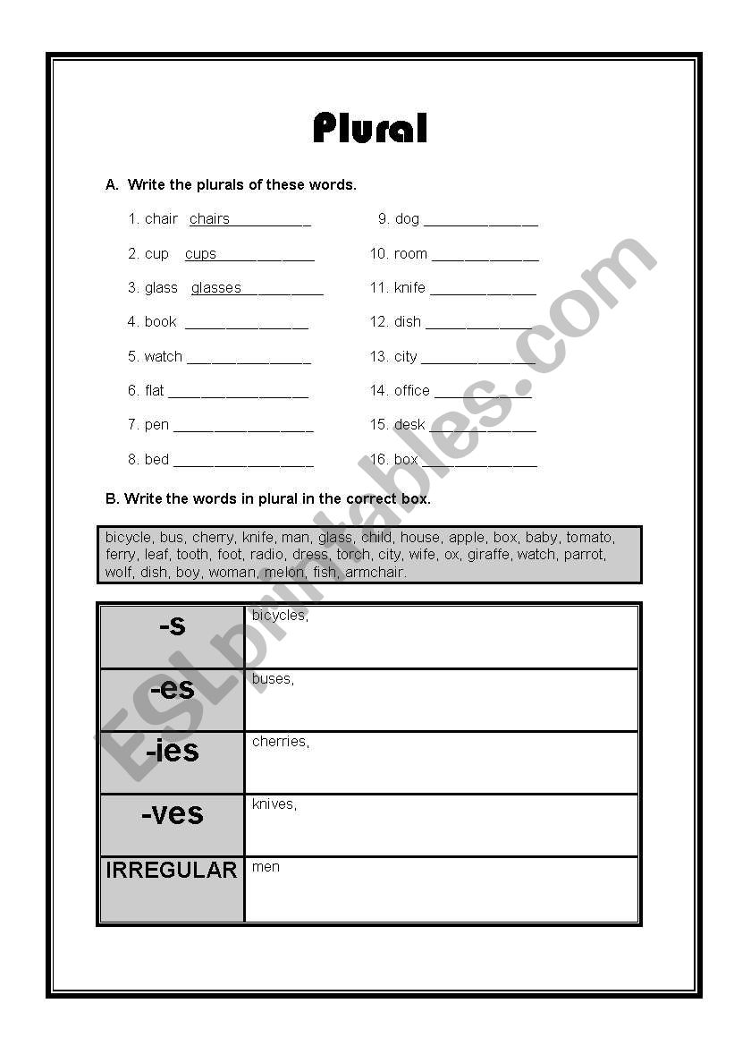 plural rules worksheet