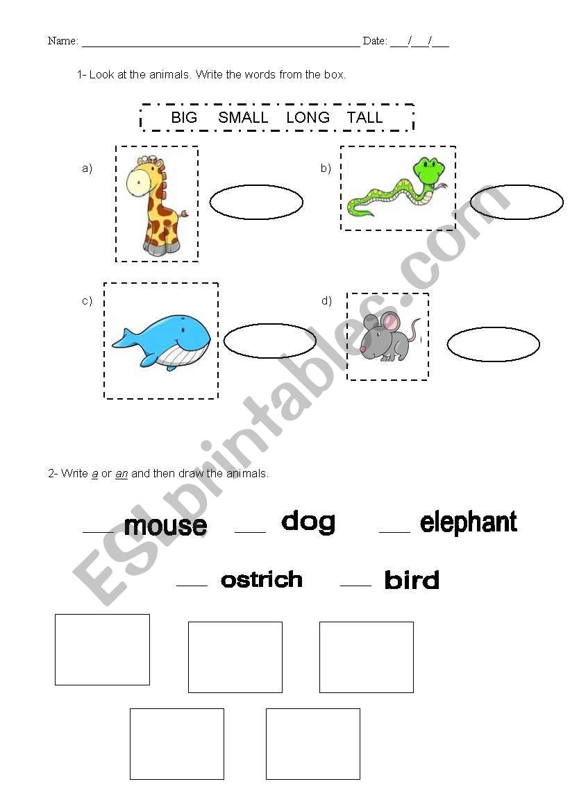 Animals worksheet