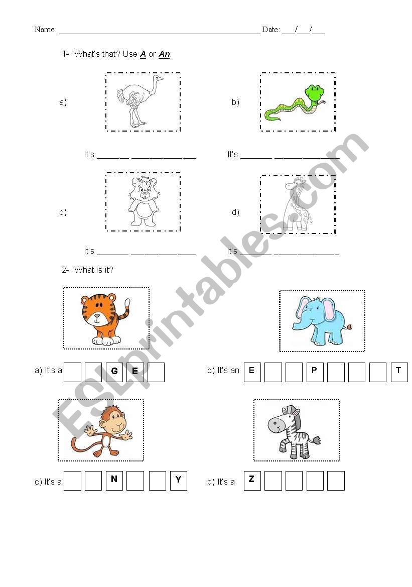 Animal worksheet