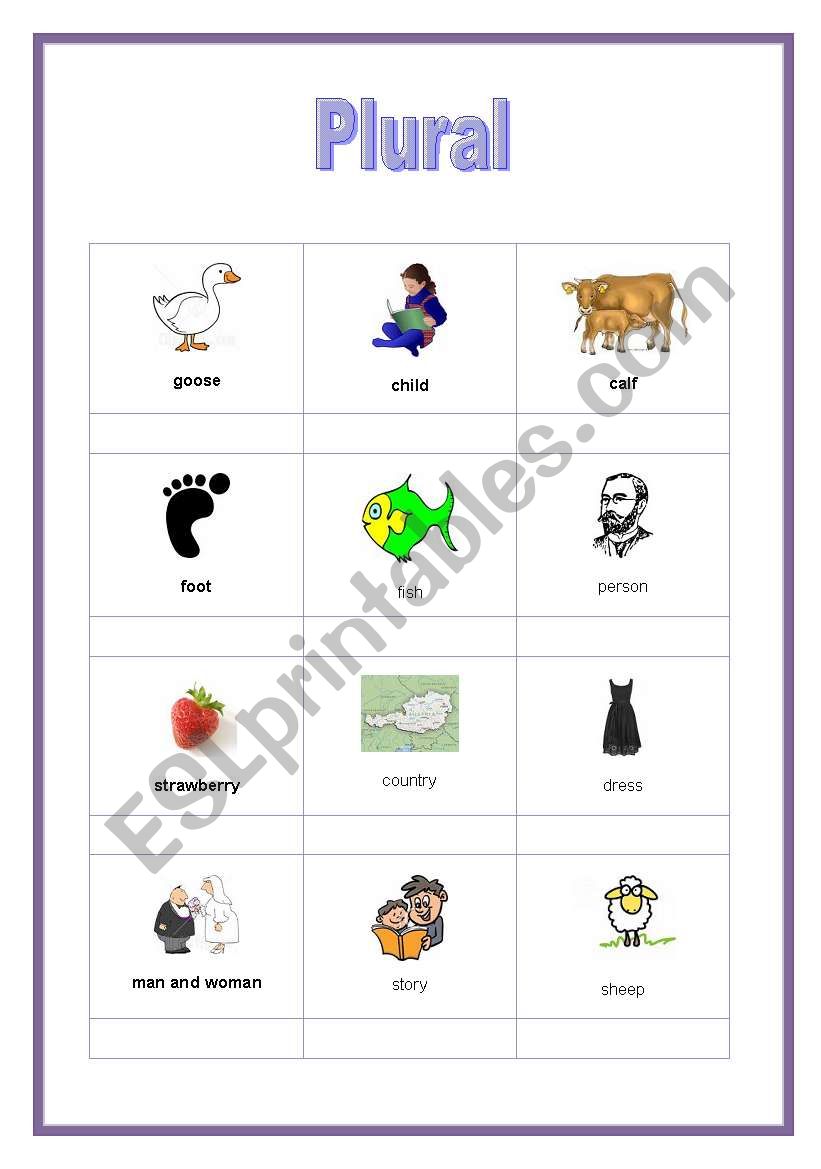 Plural worksheet worksheet