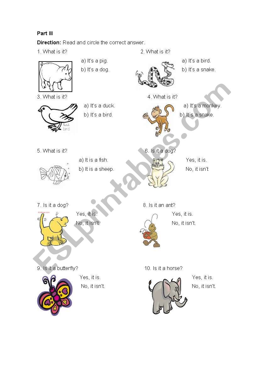 ANIMALS worksheet