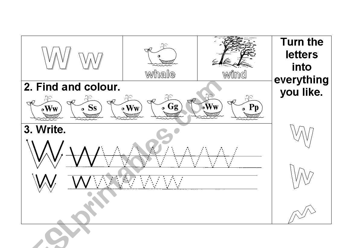 W w worksheet