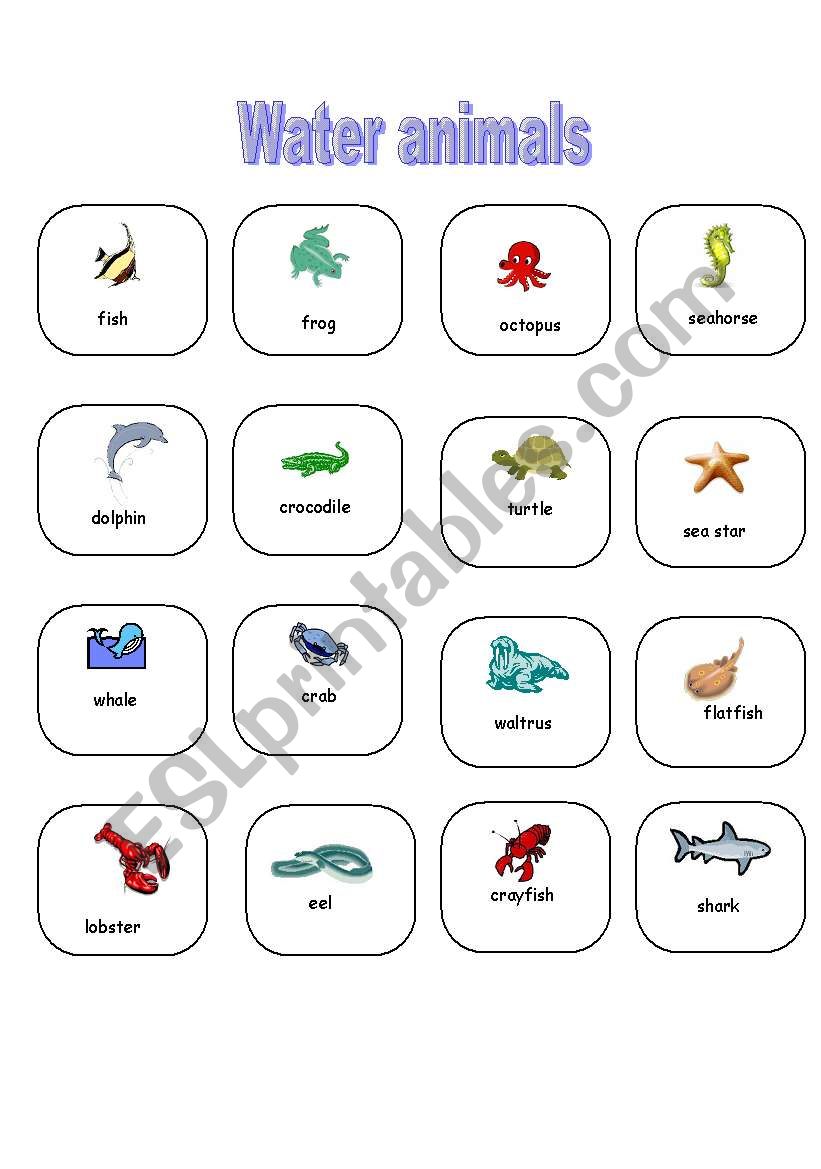 Water animals-pictionary worksheet