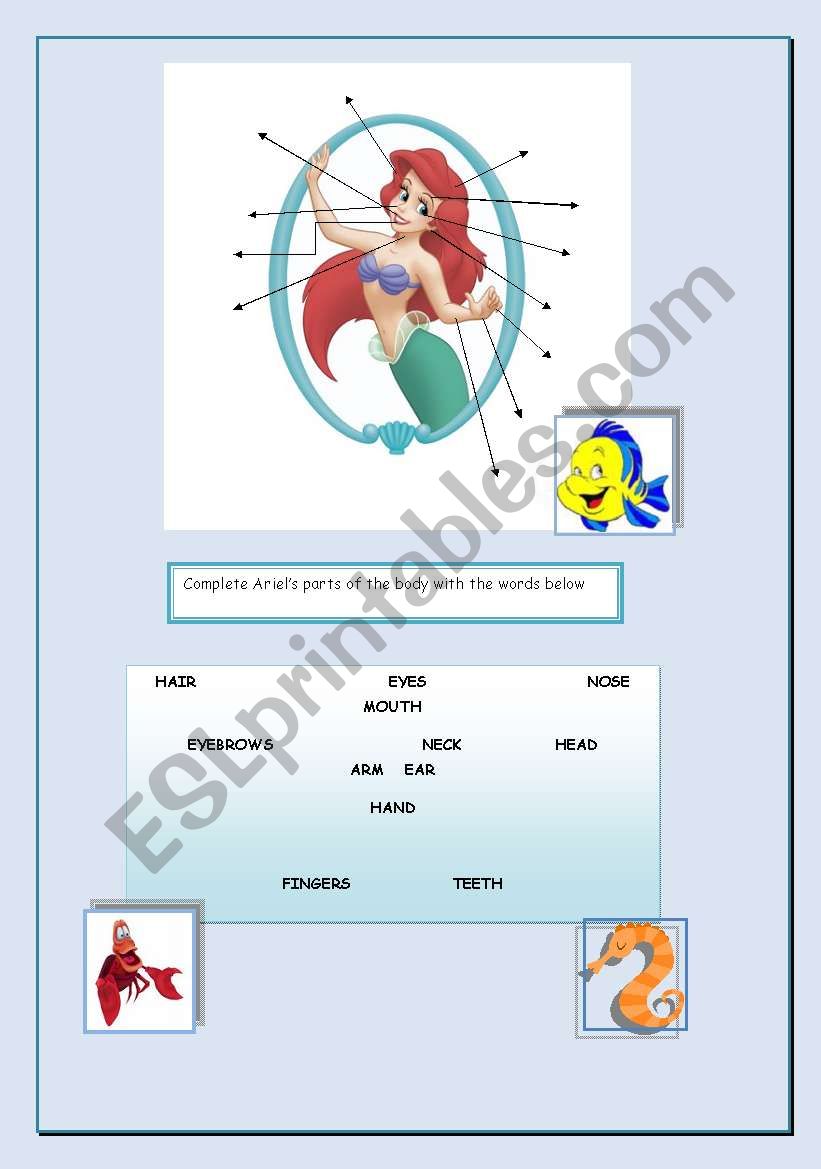 Body parts worksheet