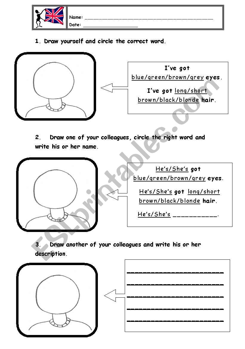 eyes and hair description worksheet