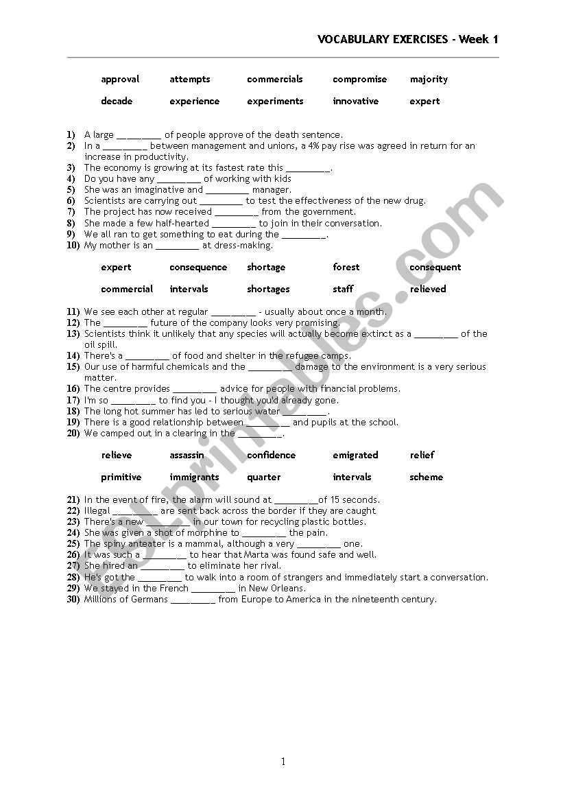 Vocabulary exercises worksheet