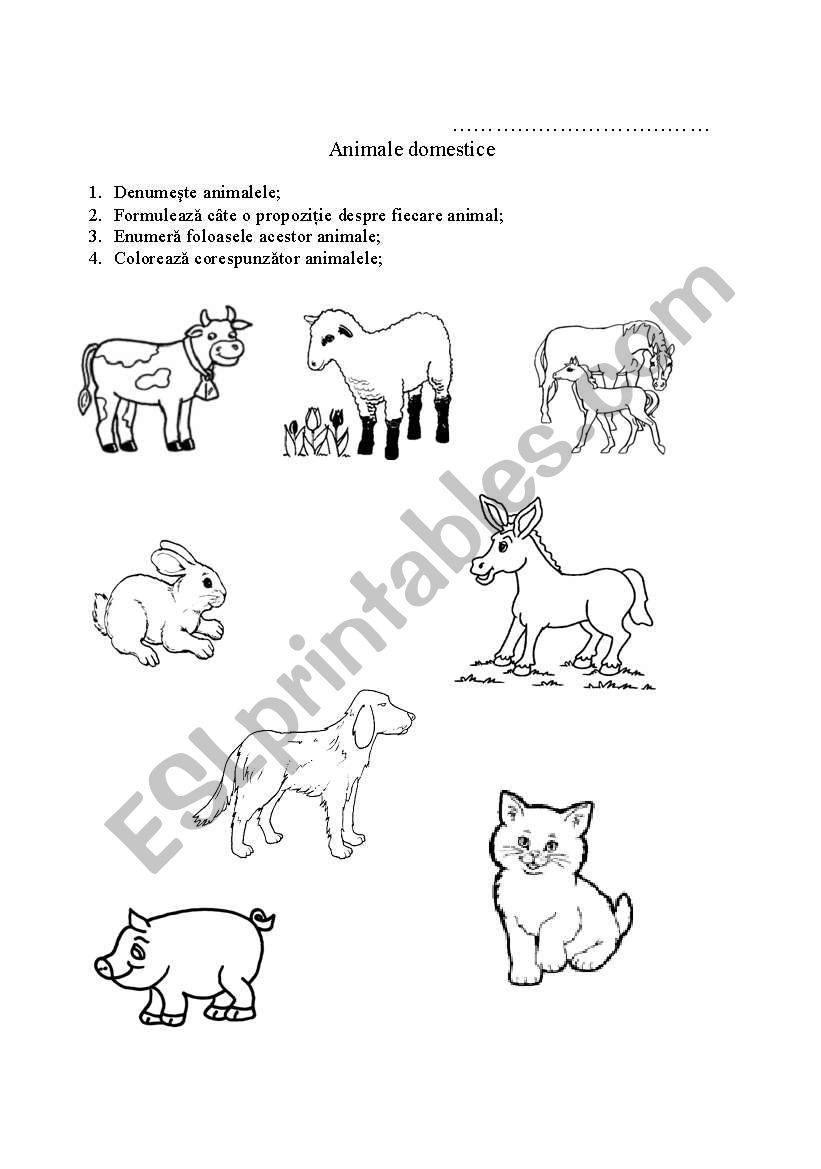 animals worksheet