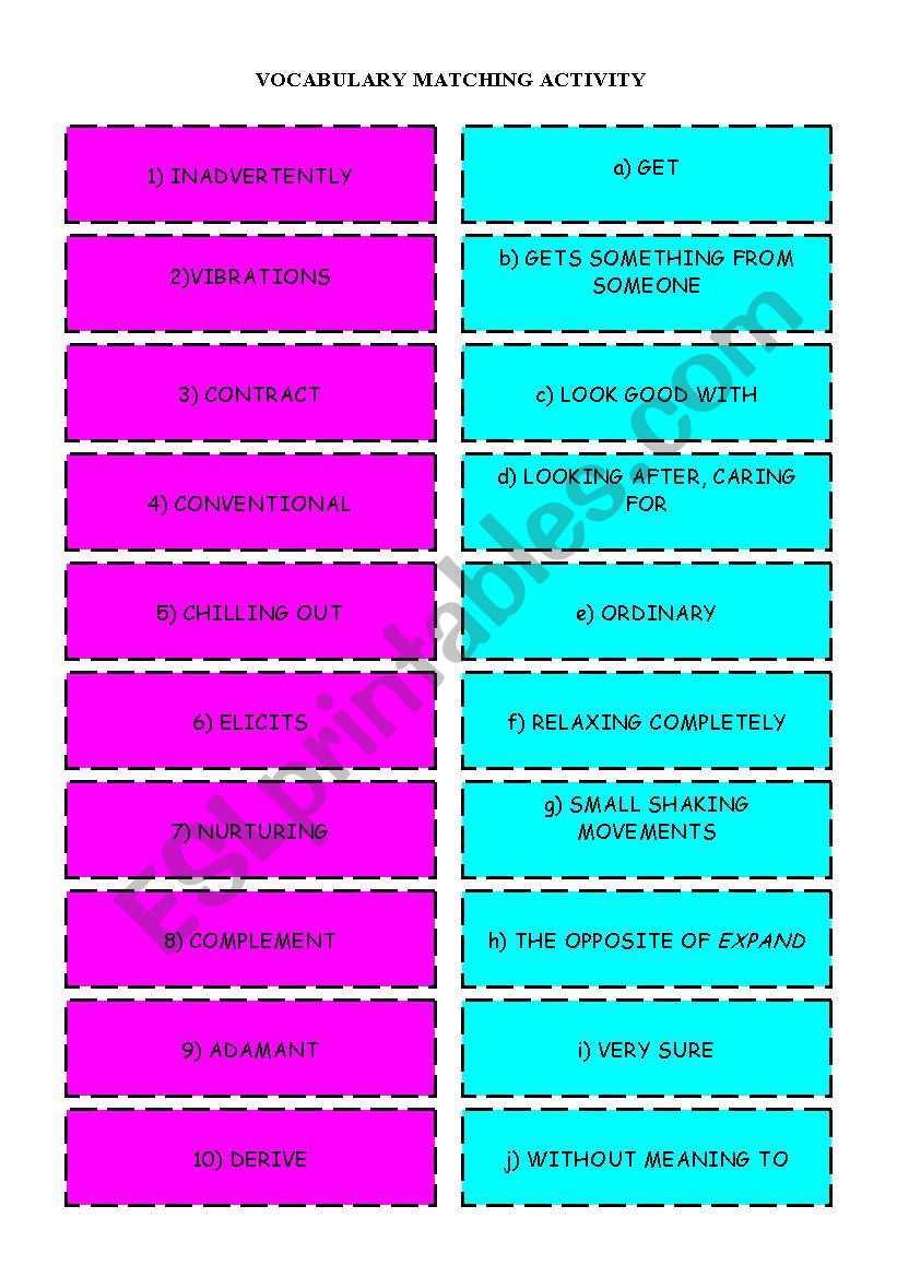 VOCABULARY MATCHING ACTIVITY worksheet