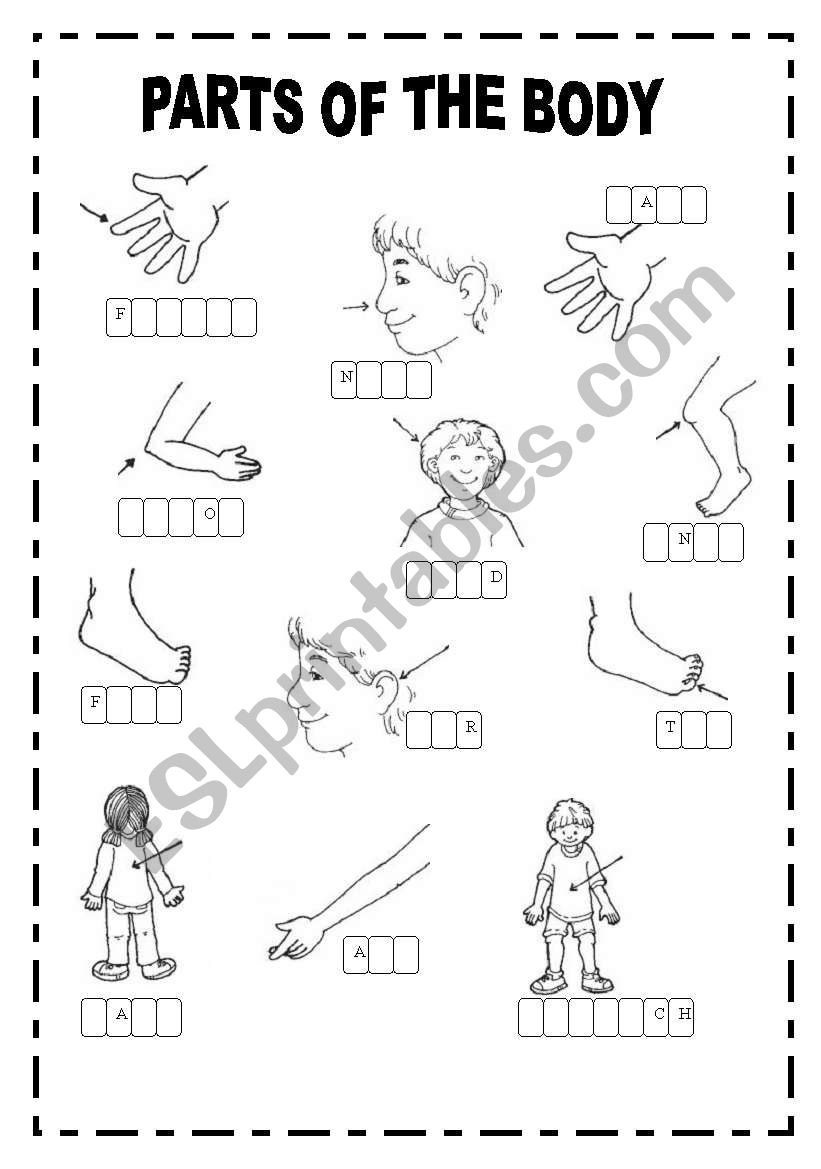 BODY worksheet