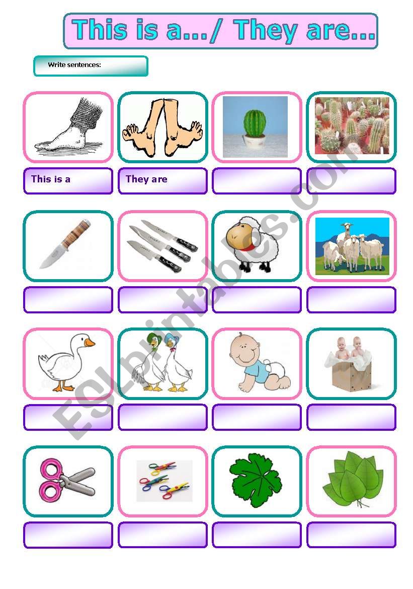 irregular plurals worksheet