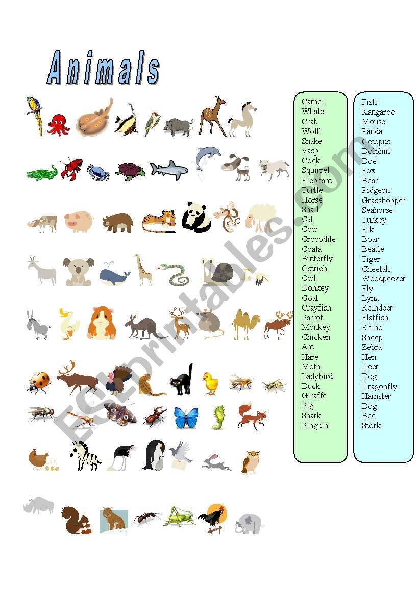 Animals-67 animals matching worksheet