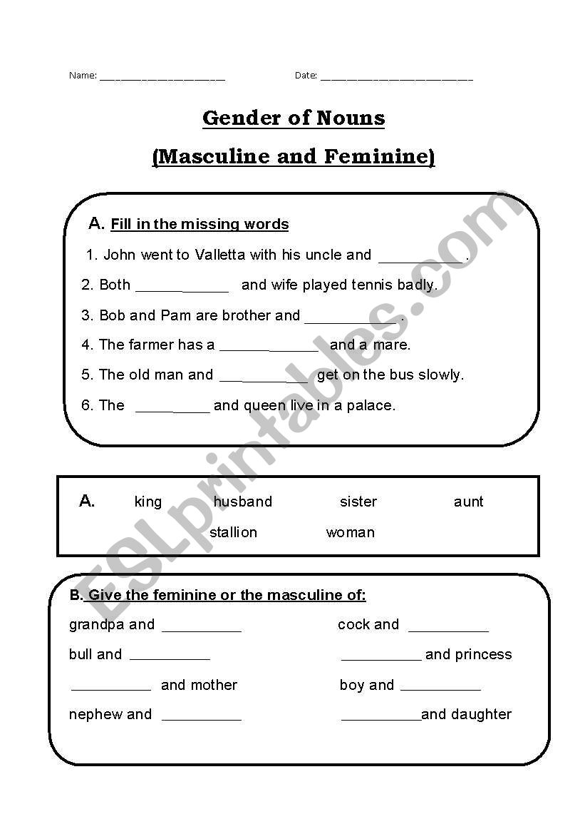 Gender of Nouns worksheet