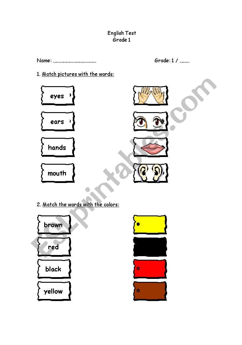body and colors worksheet