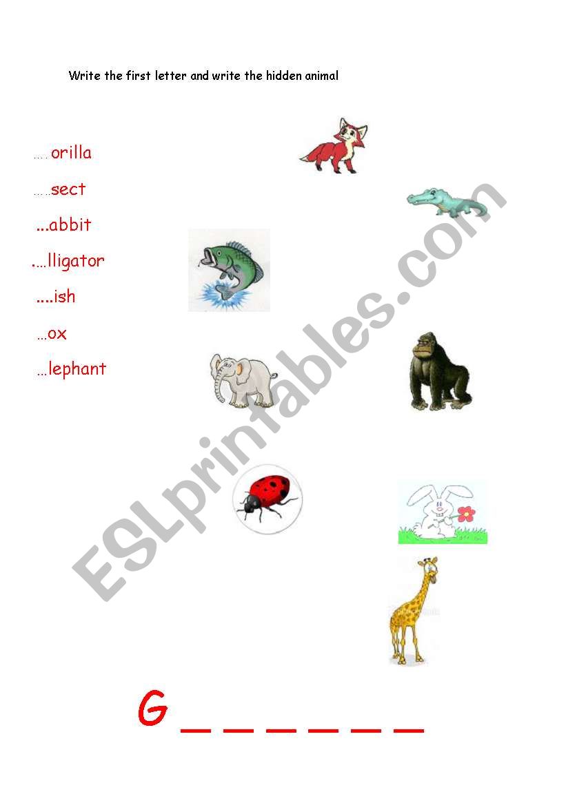 the hidden animal  worksheet