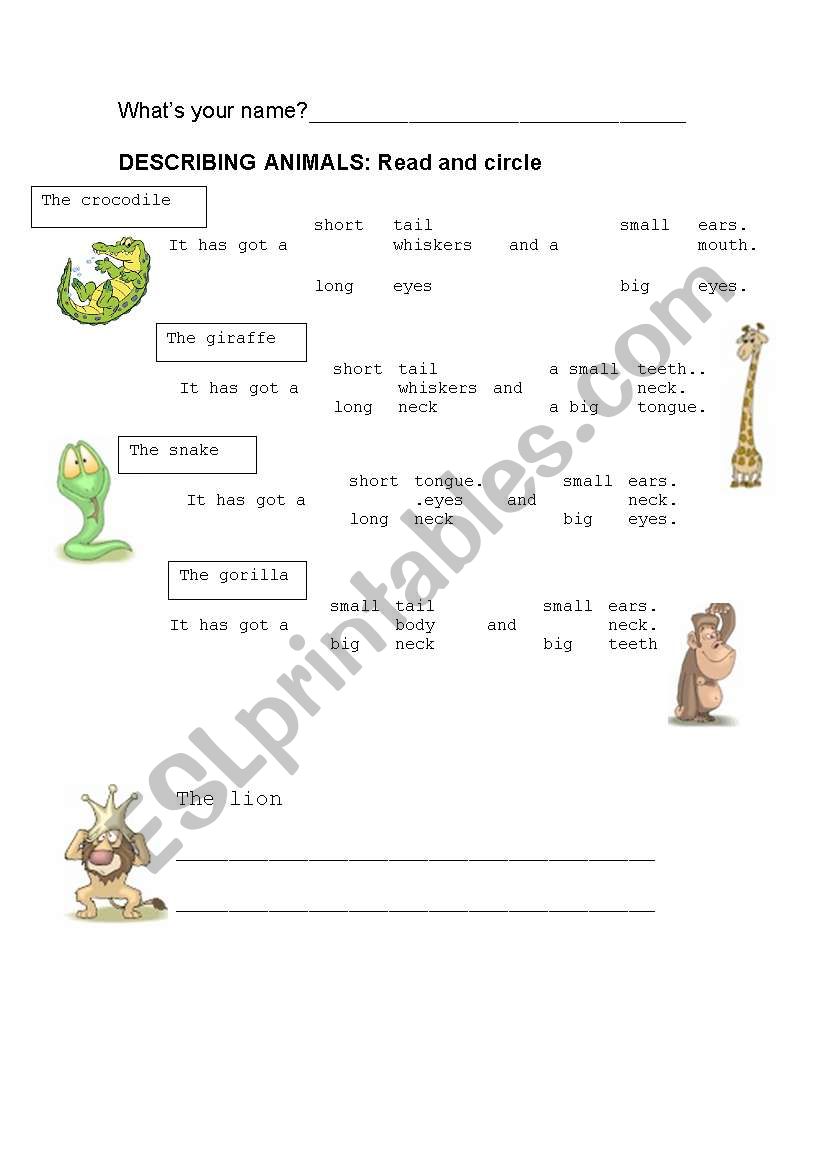 DESCRIBING ANIMALS worksheet