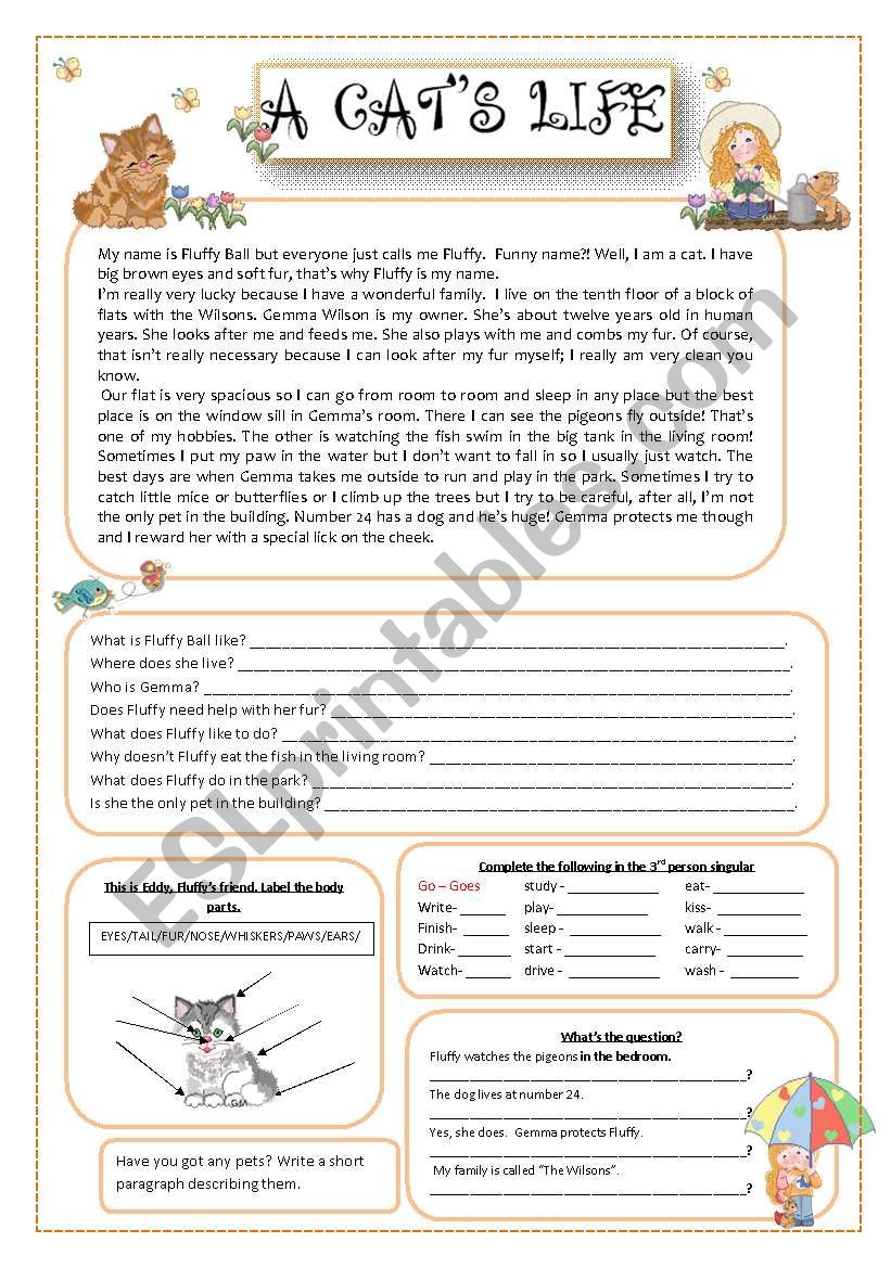 A catÂ´s life worksheet