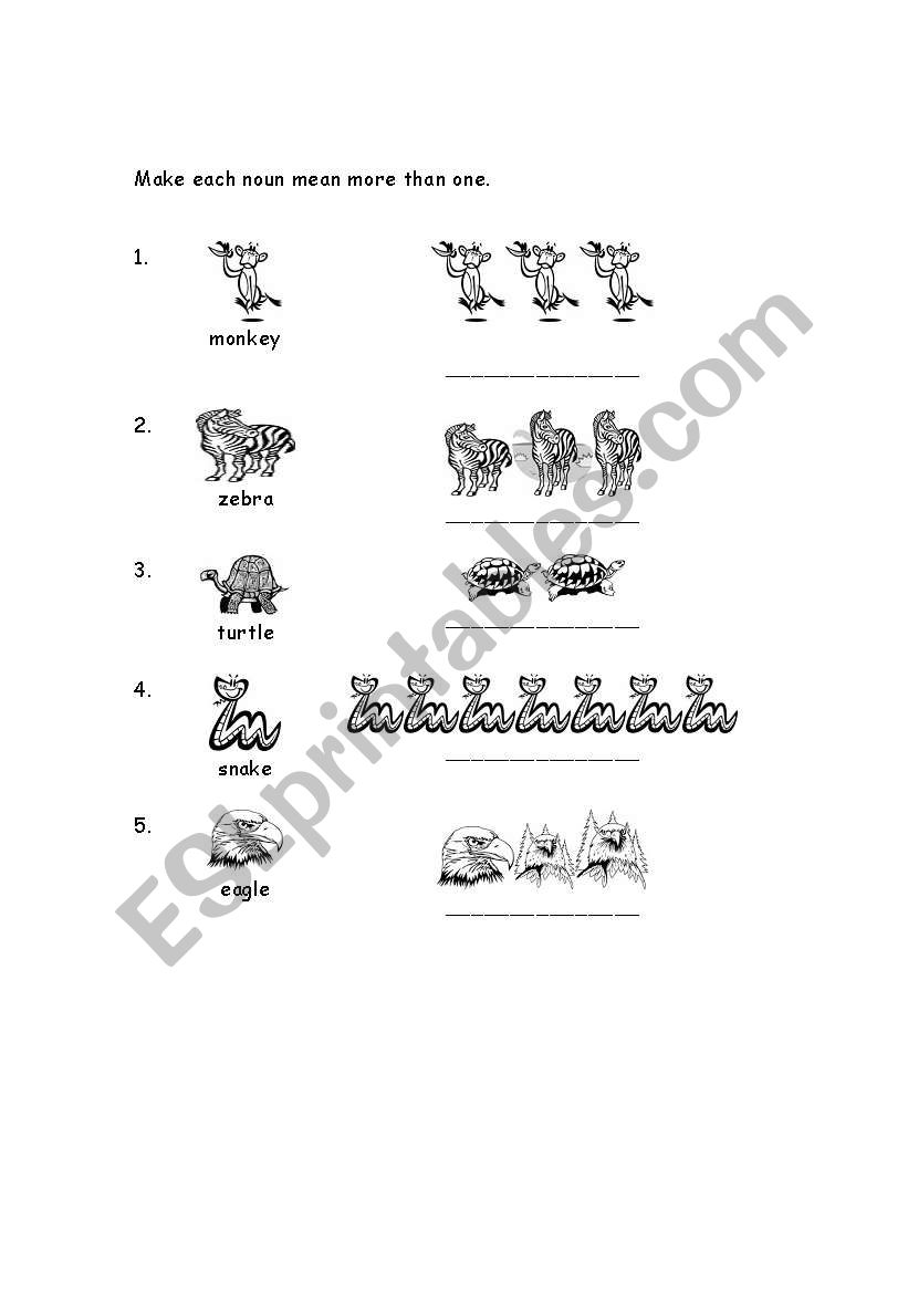 Singular-Plural worksheet