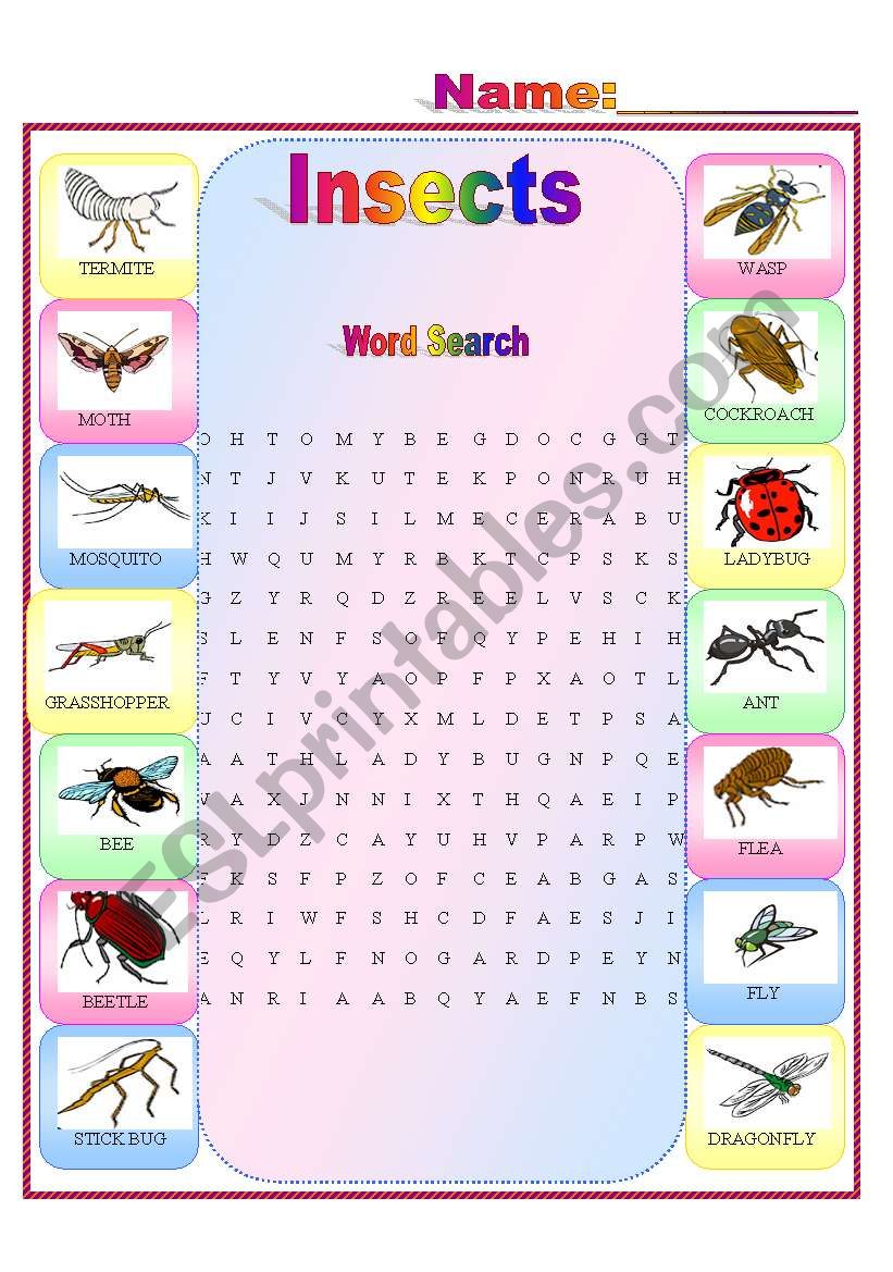 Insects Word Search worksheet