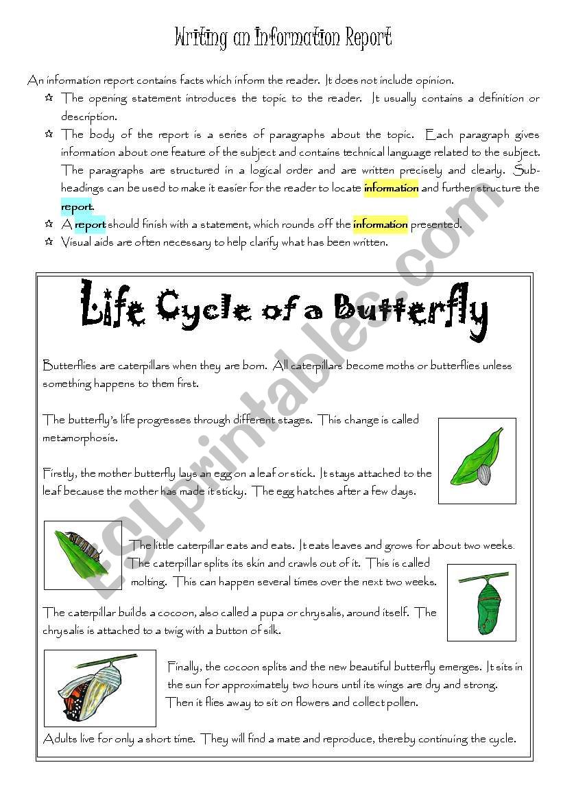 Writing an Information Report worksheet