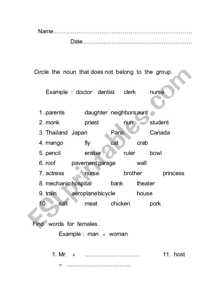 noun worksheet