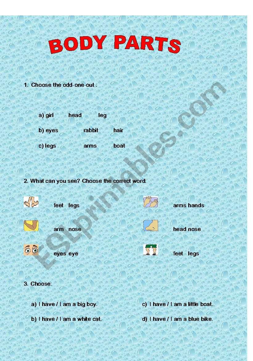 Body parts worksheet