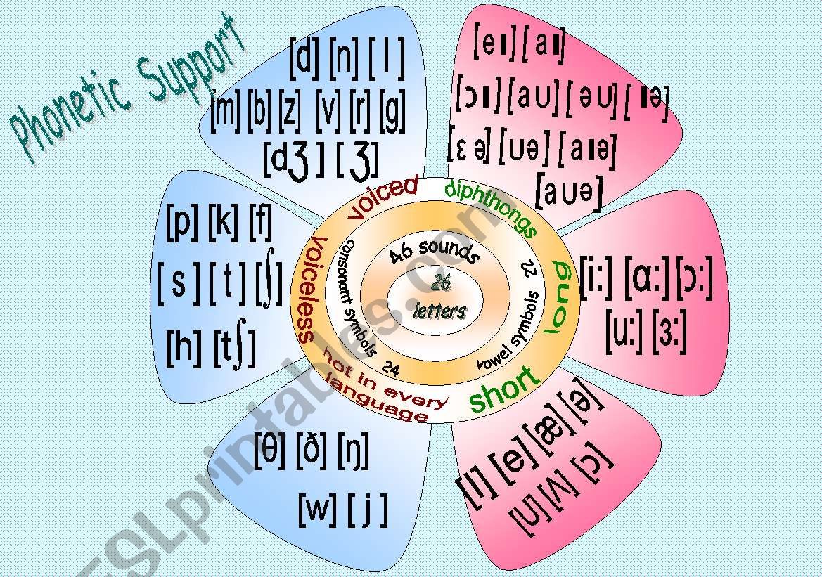 Phonetic Support worksheet