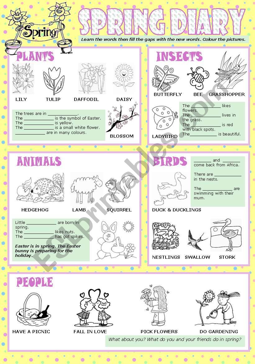 Spring diary worksheet