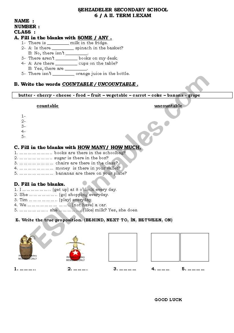 exam worksheet