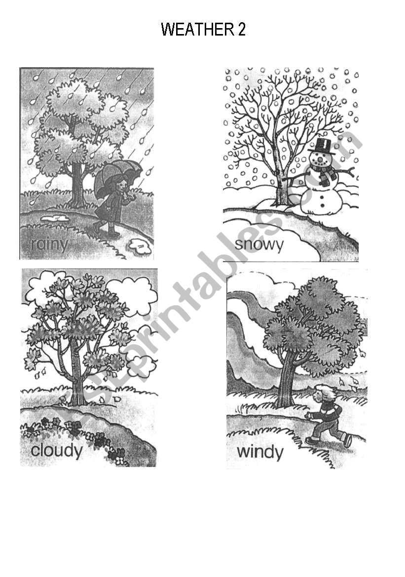 Weather and Draw worksheet