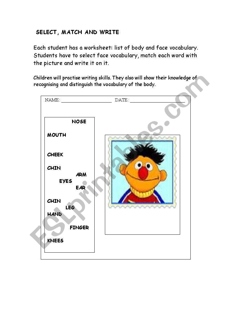 Parts of the face worksheet