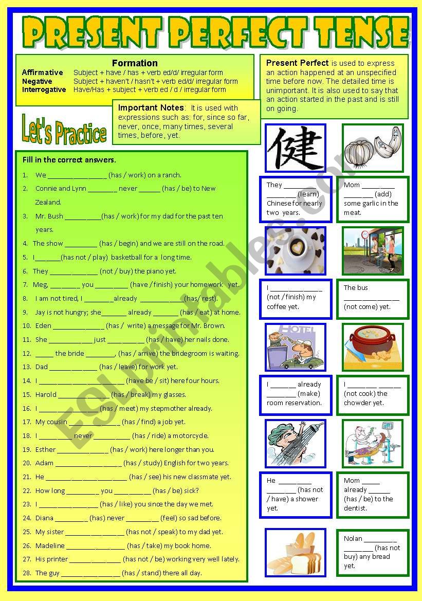 Present Perfect Tense  - (B/W & answers)