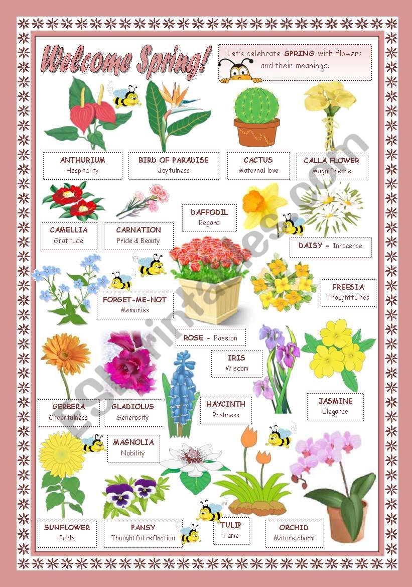 WELCOME SPRING! worksheet