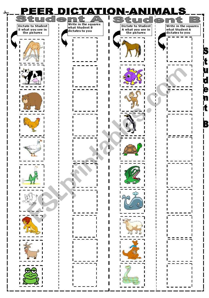 PEER DICTATION-ANIMALS worksheet