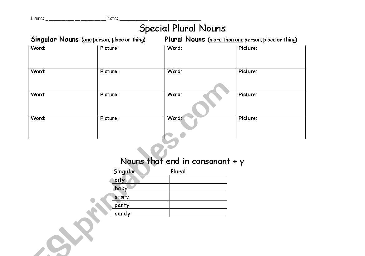 Special Plural Nouns worksheet