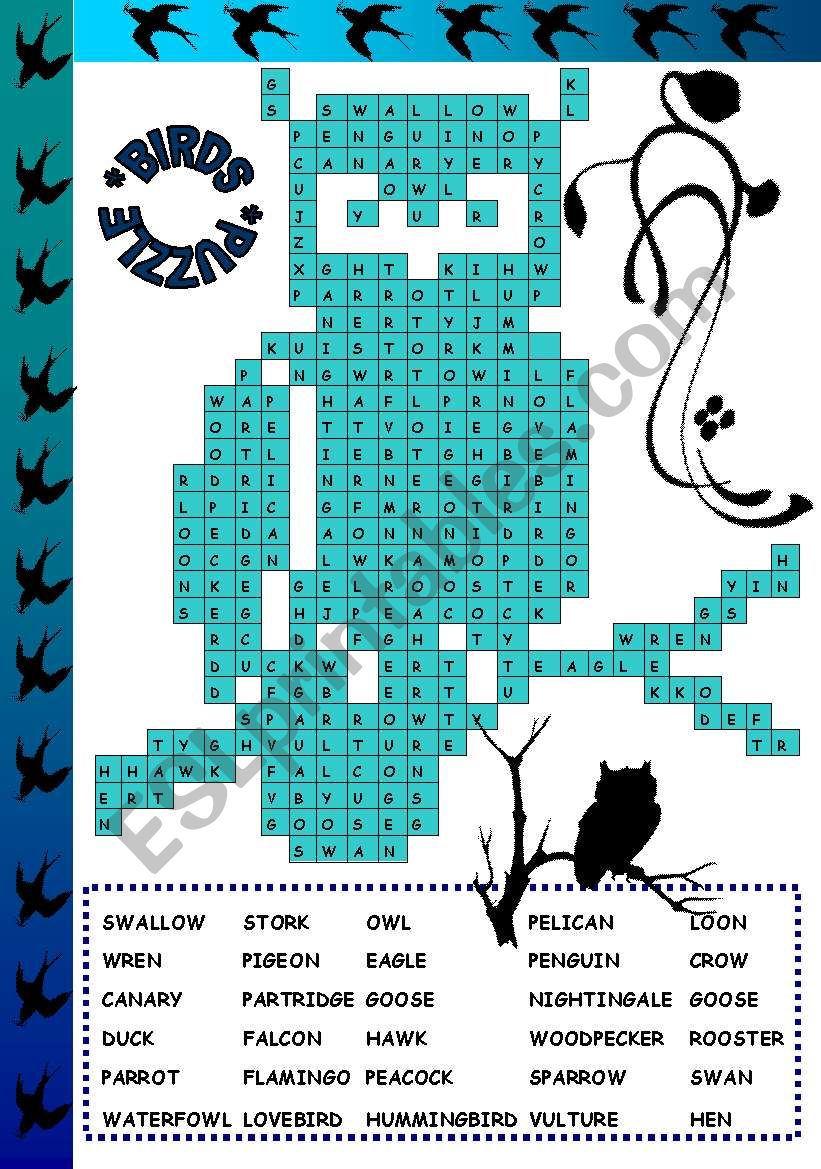 BIRDS PUZZLE worksheet