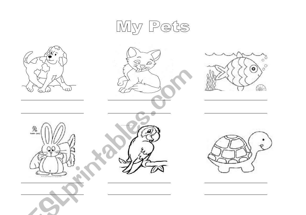 Pets worksheet