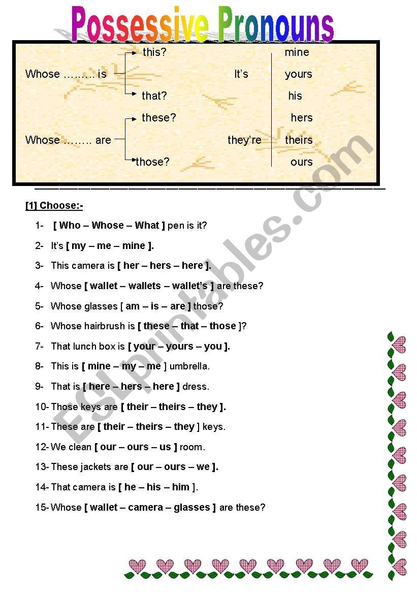 possessive pronoun worksheet