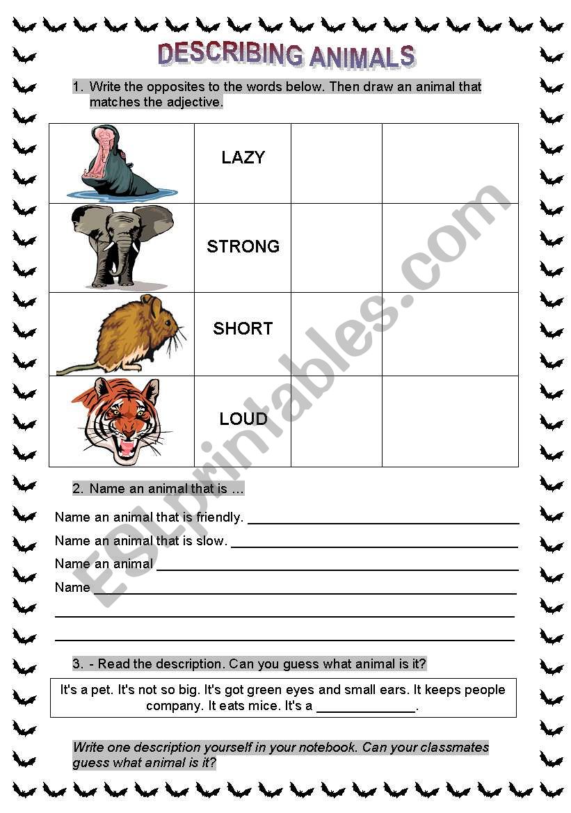 Describing animals worksheet