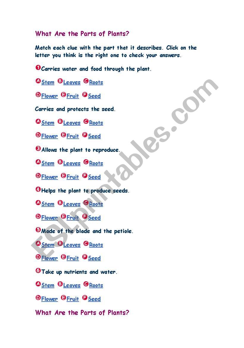 PLANTS worksheet