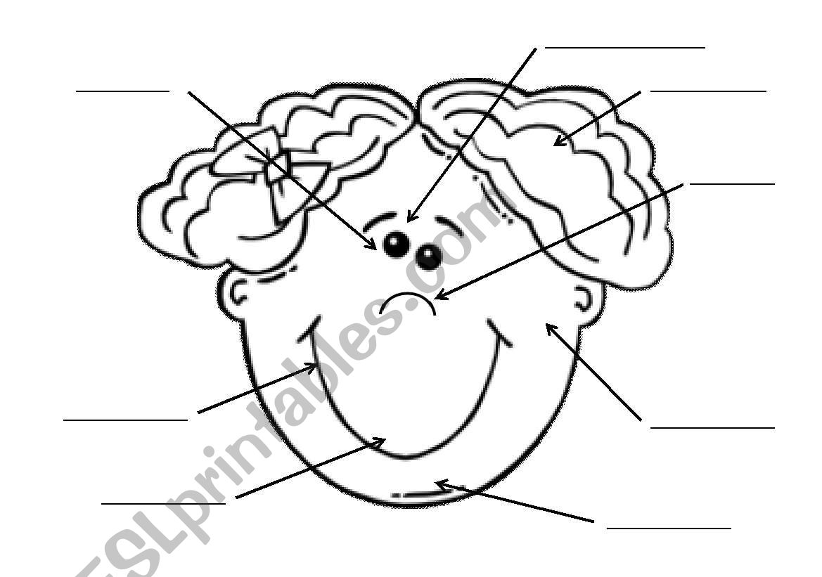 Parts of the face worksheet