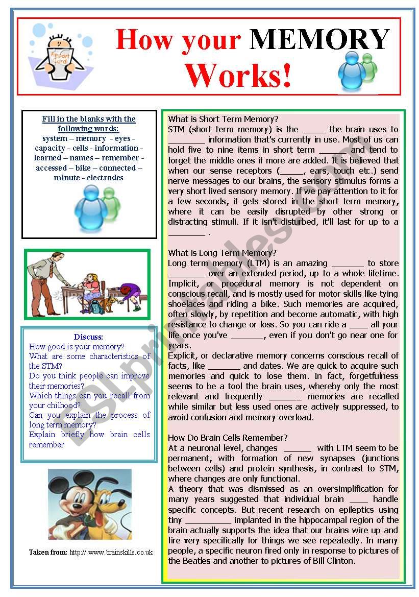 HOW BRAINS WORK worksheet