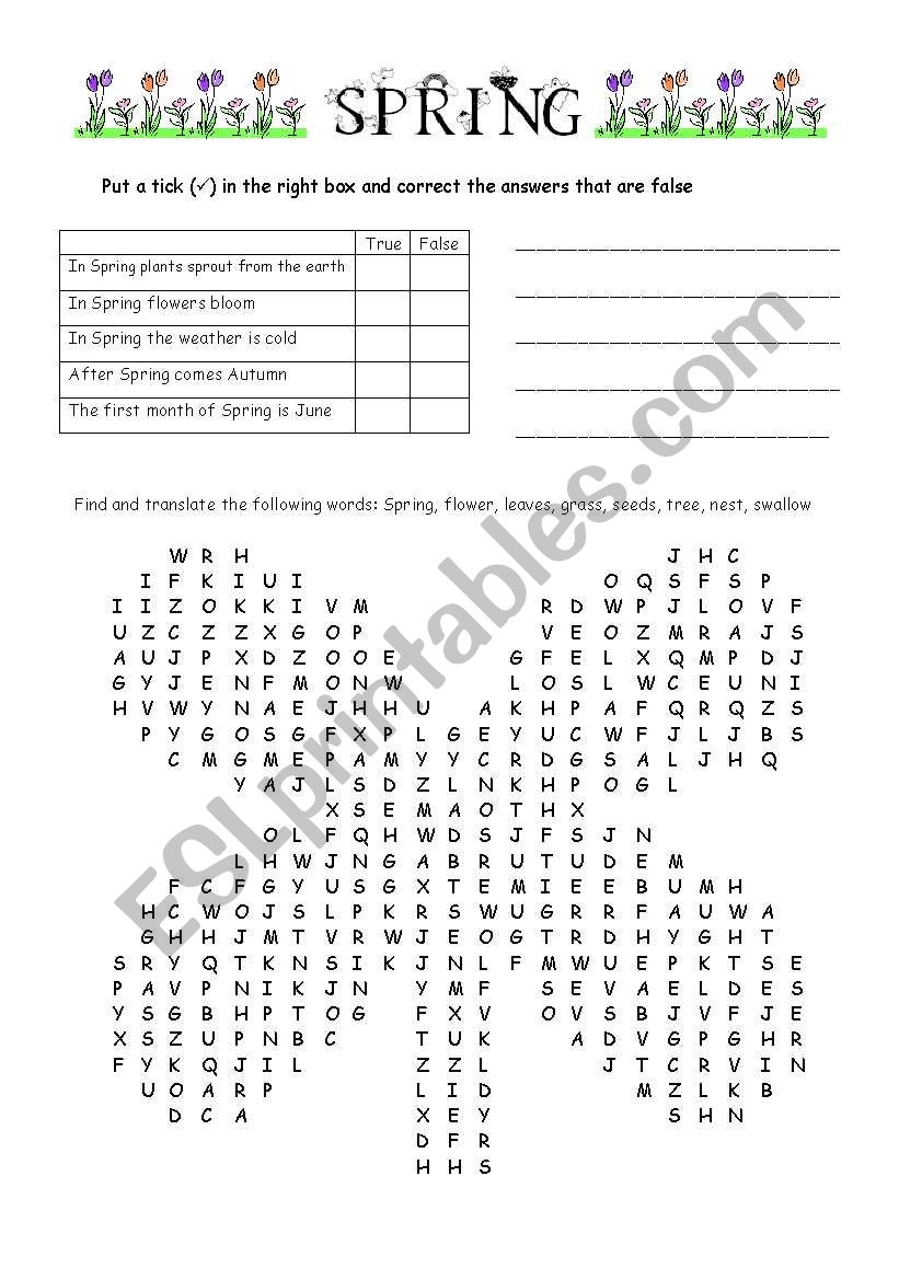 Spring worksheet
