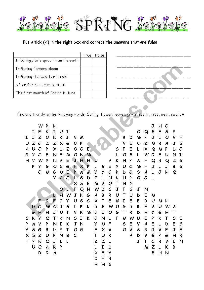 Spring worksheet