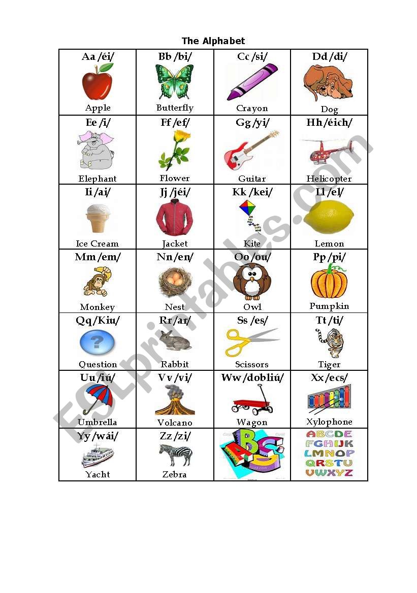 THE ALPHABET worksheet