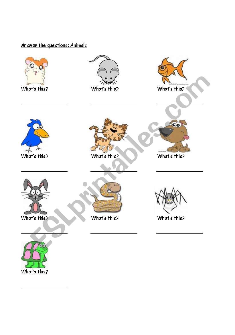 Animals worksheet