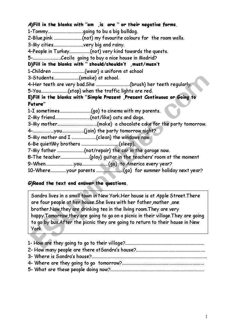 am is are, should shouldnt worksheet