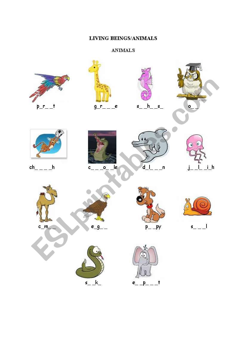 Animals worksheet