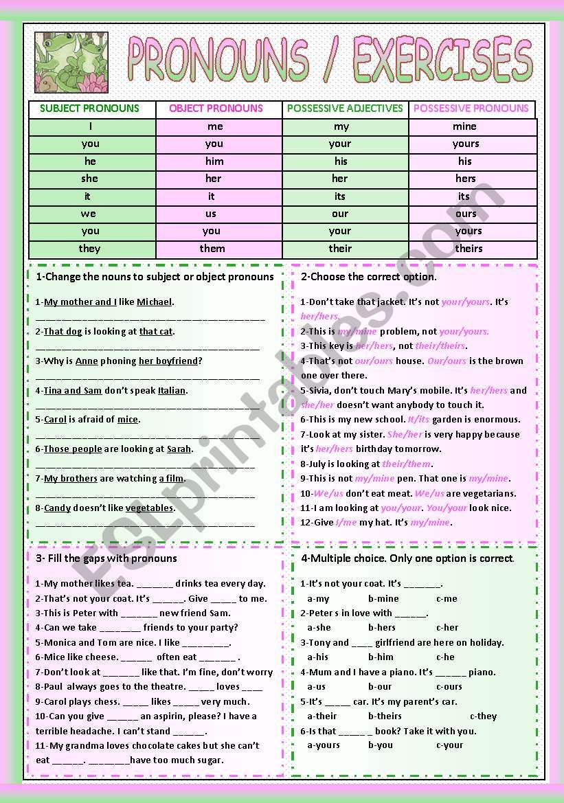 PRONOUNS EXERCISES worksheet